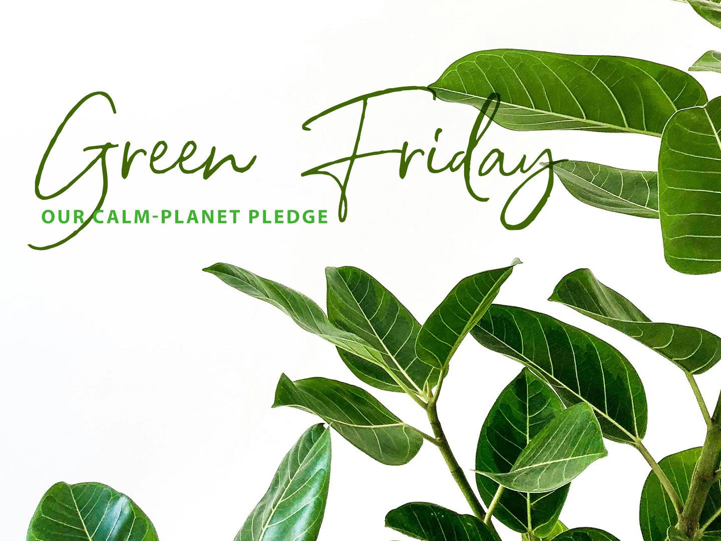 Green Friday at Home: Our Calm-Planet Pledge - Luvvy
